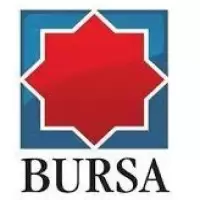 Ziarul BURSA | BURSA.RO